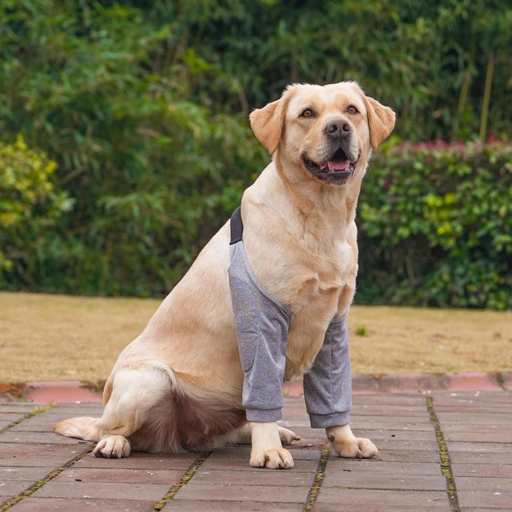 

Налокотник для собак, защита от облизывания, мягкие, дышащие, обезболивающие, поддержка плеч, налокотники, накладки для локтя собаки Grey-2XL