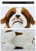 Adorable St. Bernard Plush Toy Doll for Children and Girls