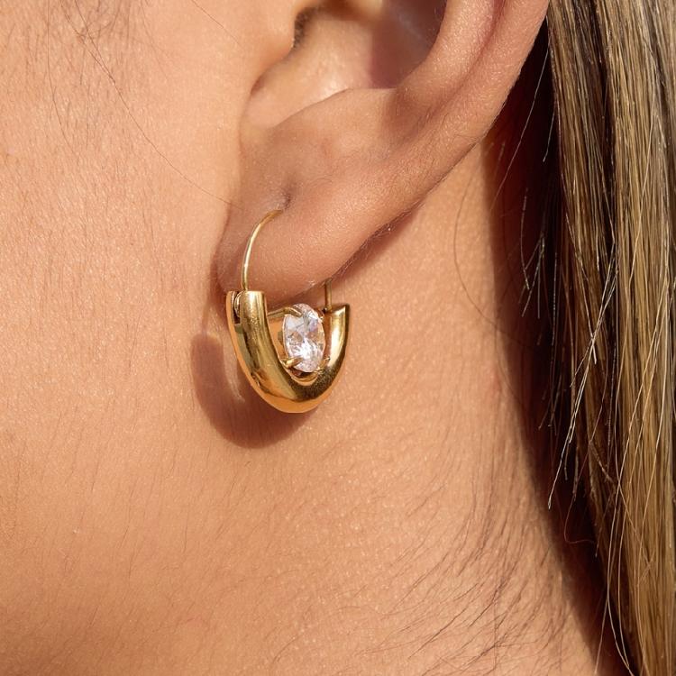 Delicate Zircon Earrings Fashion Ear Accessory Stainless Steel Jewelry Pendant Earrings Present for Modern Enthusiasts