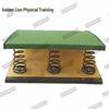 Golden Lion Nine-Spring Gymnastics Training Springboard