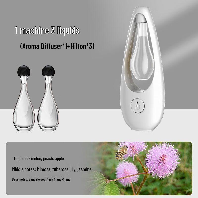 Charcoal Era Automatic Scent Diffuser & Air Freshener Kit