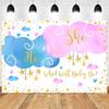 Ggender Reveal Backdrop Photocall Ggender Reveal Party Banner Background Happpy Birthday Pary Decor Kids Boy Girl Baby Shower