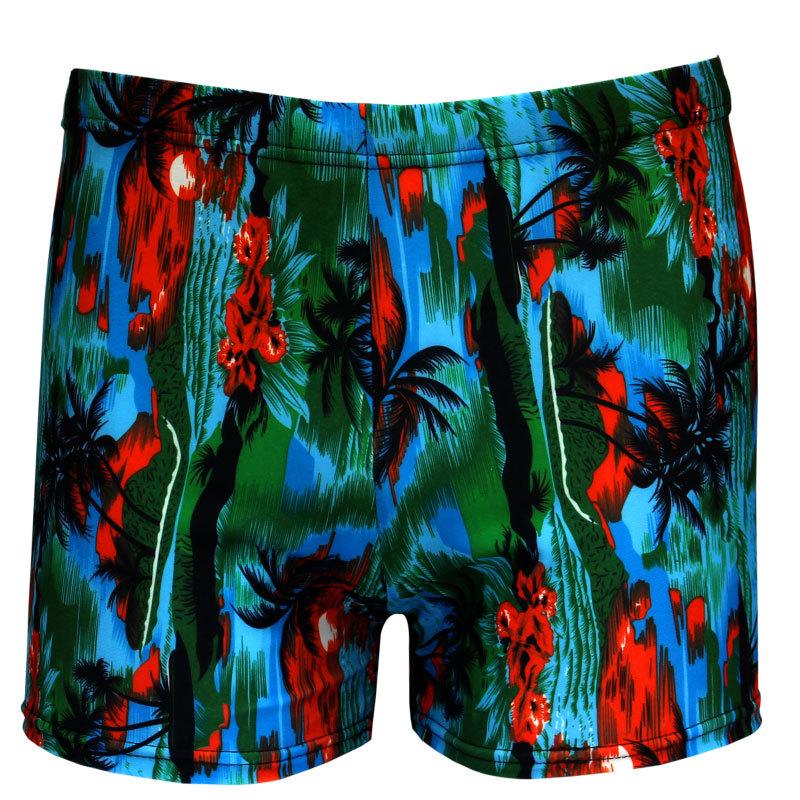 Printed Plus Size Fashion Flat Leg Swimsuit 933-934