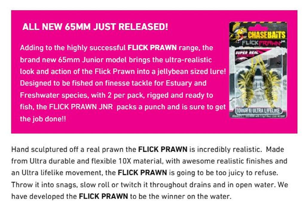 Chasebaits Flick Prawn Heavy 95 Mm 7 Grams Sinking Lure 06 (8411)