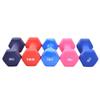 Hexagonal Dumbbells: Women's Small, Smooth & Knurled Home Fitness Equipment