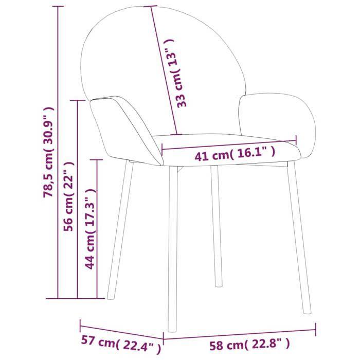 VidaXL 2x Chaises de Salle à Manger Fauteuils à Dîner Chaises de Cuisine Sièges à Dîner Chaises de Repas Restaurant 344772