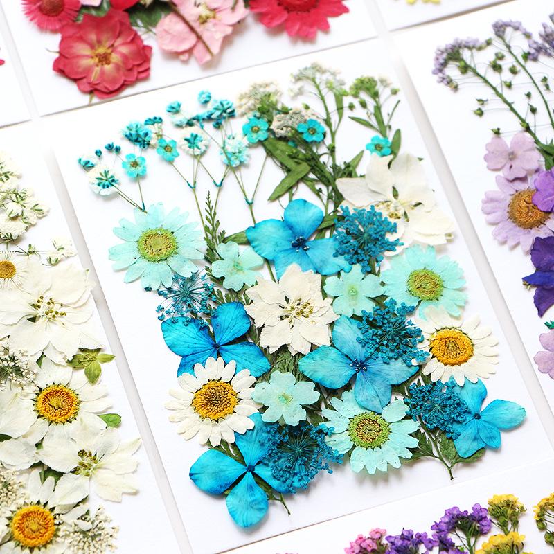 DIY Dried Flower Specimen Sticker Set for Kids: Handmade Pressed Flower Frames & Resin Bookmark Craft Kit