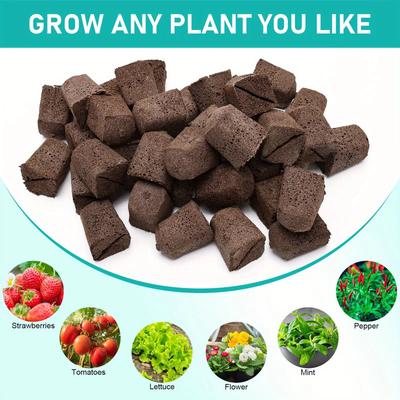 Seed Starter Sponges Pods,Rapid Peat Moss Rooter Plugs,Replacement Seedling Block Cubes for Gardening Enthusiasts Beginners Grow