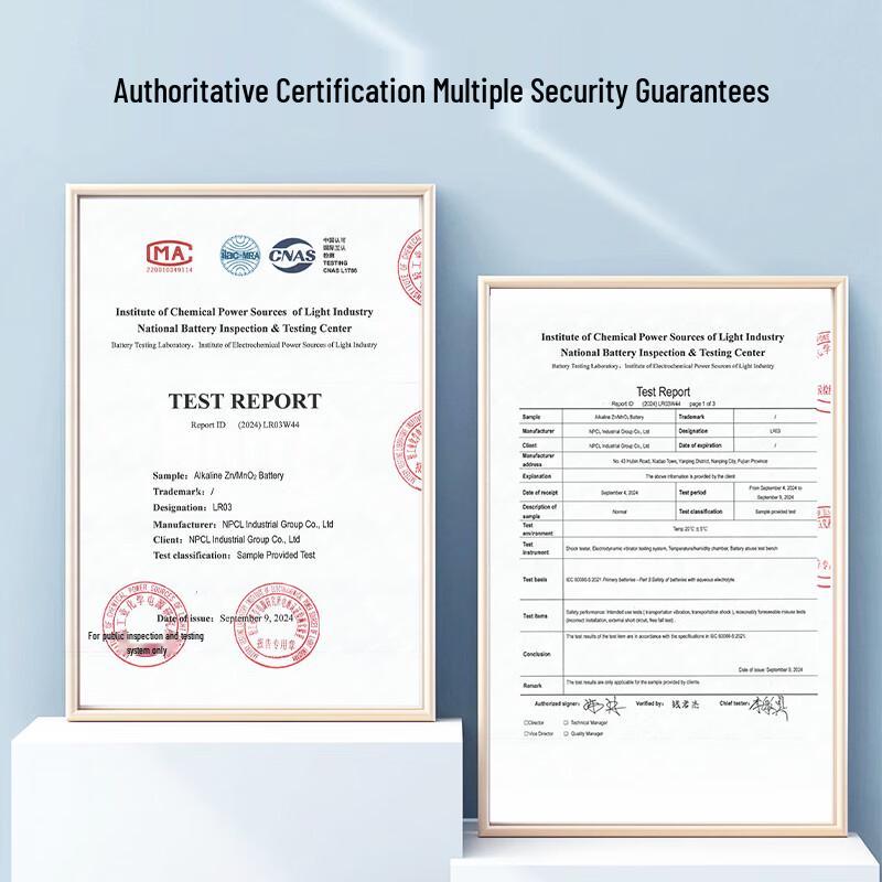 No. 1 Member Shop High-Performance Alkaline Batteries CN plug (adapter included)