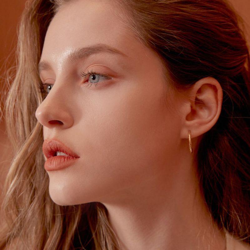 Narcissus Mood Layer Lipstick 101. Brick Heaven