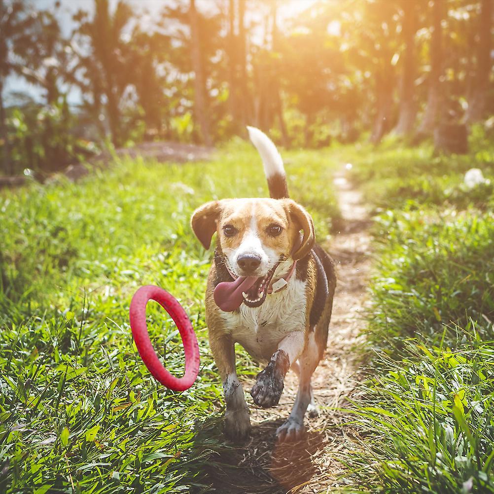 Pet Ring Flying Saucer Toysfor Dog Dog Flying Discs Outdoor Floating Interactive Toy