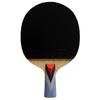 Double Fish 4-Star Table Tennis Racket