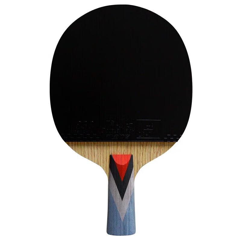 Double Fish 4-Star Table Tennis Racket