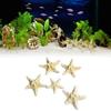 Fish Tank Starfish Decor Unique Beautiful Starfish Ornament Set for Home Aquarium DIY Photo Frame Wind Chime Type 1