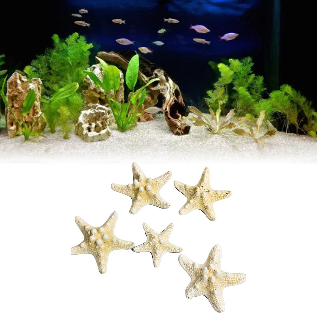 Fish Tank Starfish Decor Unique Beautiful Starfish Ornament Set for Home Aquarium DIY Photo Frame Wind Chime Type 1