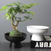 Decoração de casa – Vasos