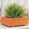 VidaXL Planter Wax Brown 70x70x26.5 Cm Solid Pine Wood, Outdoor Planter, Flower Box, Plant Box, 847305