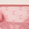 Seamless Lace Trim Briefs Transparent Perspective Underwear Breathable Women Lace Panties  Female