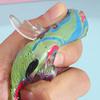 Fish Squeeze Toy Slow-Rising TPR Fidget for Stress Relief Cute Fish-Shaped Decompression Gadget for Kids Adults