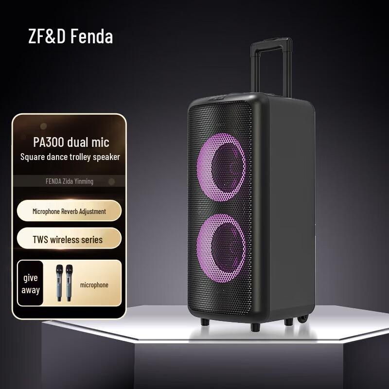 F&D PA300 Portable Outdoor Karaoke Bluetooth Speaker CN plug (adapter included)