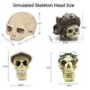 Fish Tank Aquarium Skull Decoration Breeding House Simulation Resin Cranium Statue Spider Scorpion Lizard Shelter Home Ornament