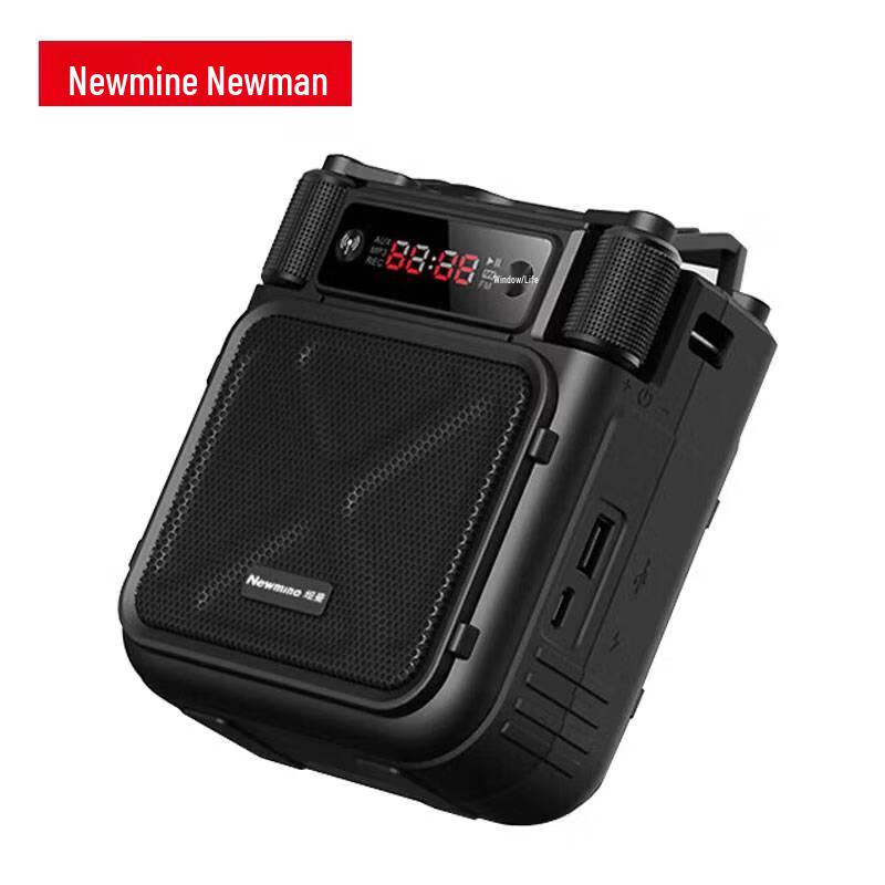 Newmine MS19 Wireless Amplifier with Handheld Microphone CN plug (adapter included)