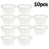 Plastic Planting Baske Transparent Net Cloning Basket