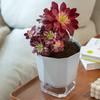 Breathable Holes Visible Water Level Flower Pot Lazy Automatic Water-Absorbing Flowerpot Garden Supplies
