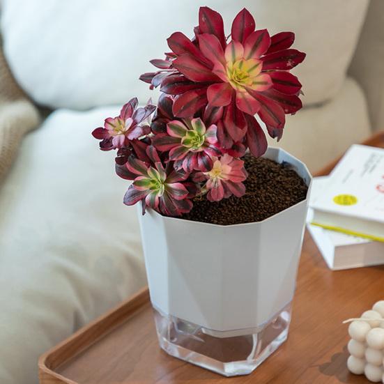Breathable Holes Visible Water Level Flower Pot Lazy Automatic Water-Absorbing Flowerpot Garden Supplies