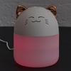 Cat Led Air Humidifier