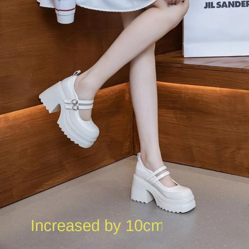 Fashion 10cm Women's Mary Jane Shoes with Chunky Heels, Thick Platform Soles, and Cute Bow Knot women sneakers