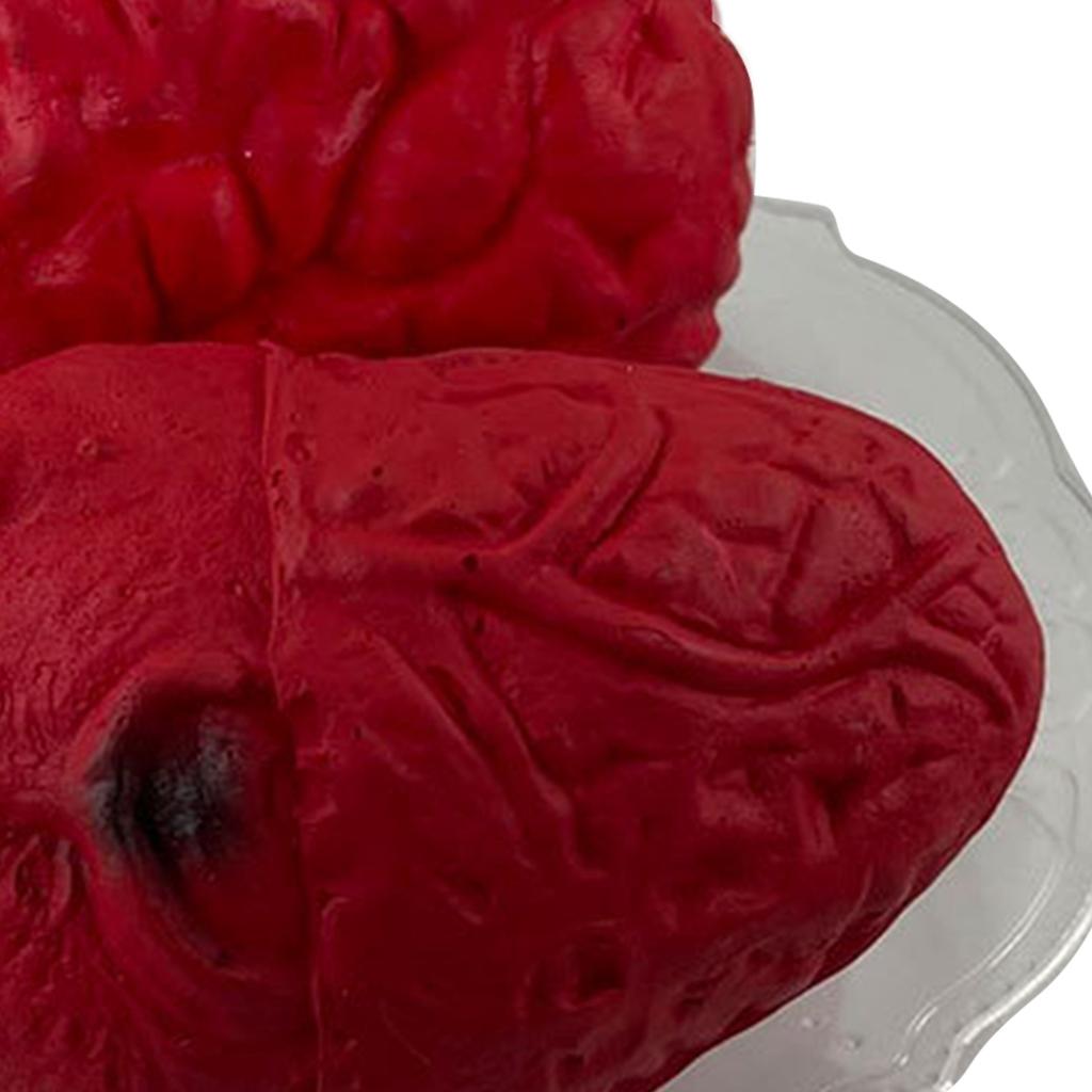 Halloween Heart Brain Prop Innovative Scary High Simulation Hand Crafted Halloween Organ Prop for Halloween Party
