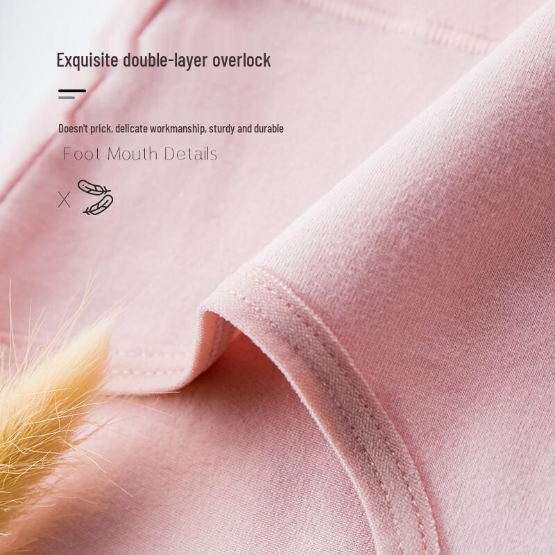 Langsha Women's Plus Size High-Waist Cotton Briefs 4-Pack