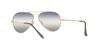 ARISTA 55 Sunglasses RB3689 Ray-Ban