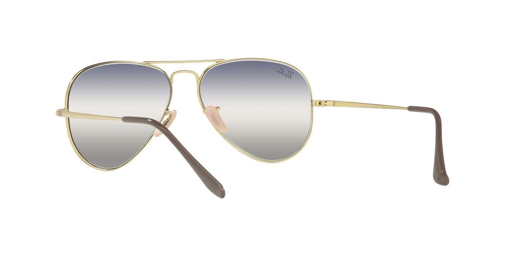 ARISTA 55 Sunglasses RB3689 Ray-Ban
