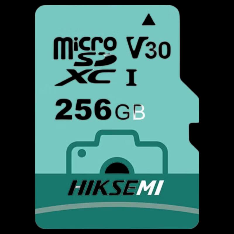 HIKVISION 256GB TF/SD Surveillance Memory Card CN plug (adapter included)