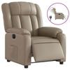 VidaXL Fauteuil Inclinable Électrique, Chaise de Relaxation avec Dossier, Siège avec Accoudoirs, Fauteuil TV de Salon, 3205256