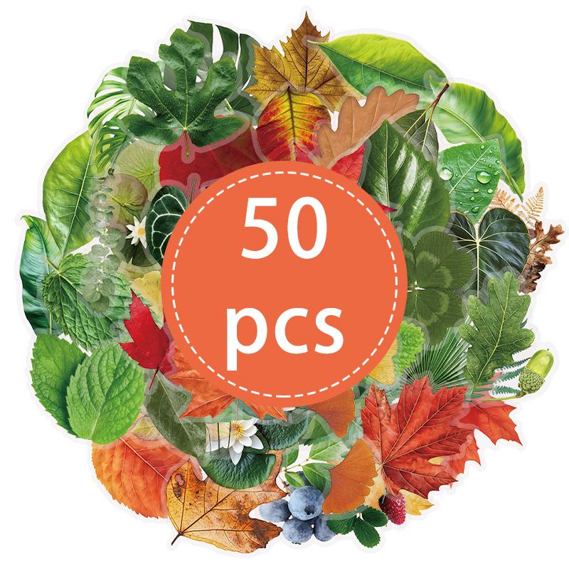 

50PCS Leaf PET Transparent Stickers Green Plant Sticker Waterproof for Water Bottle Laptop Scrapbook Skateboard Notebook Journal