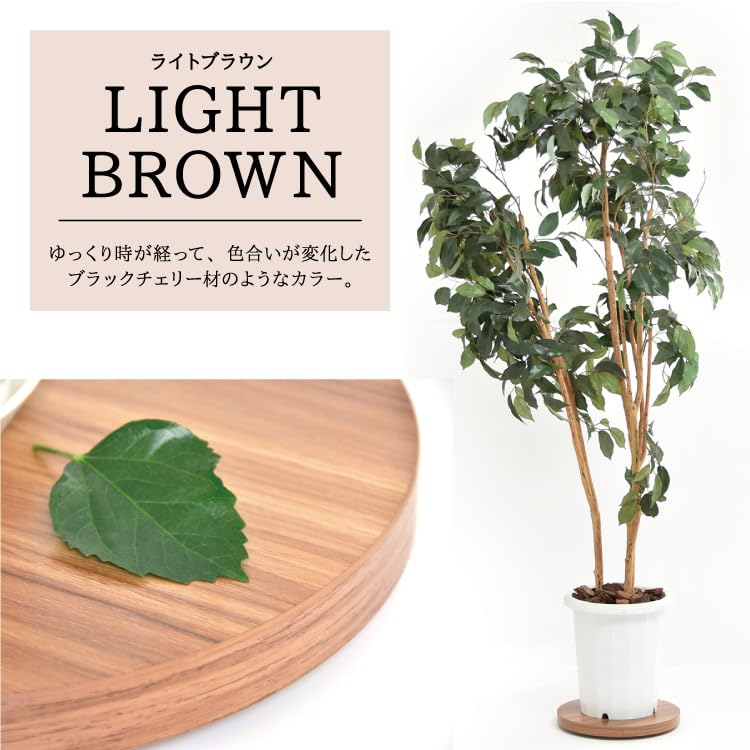 Suport pentru flori Belca cu rotile Diametru 30 x Înălțime 3,5 cm Maro deschis Suport rotund pentru ghiveci Capacitate de încărcare 25 kg Mobil BB-PB-LBR