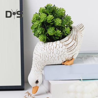 Pot de fleurs succulentes en forme de coq, forme créative, construction durable, grande taille, polyvalent, décoration de jardin