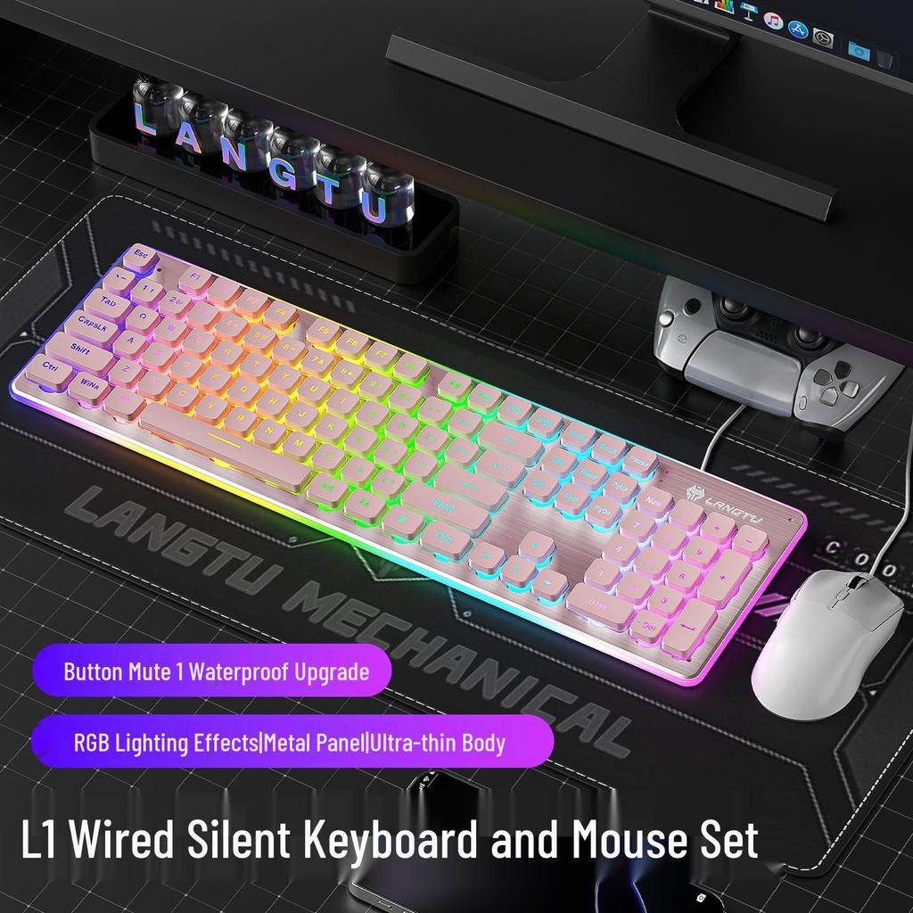 Langtu LT600 Wireless Silent Membrane Keyboard & Mouse Set for Gaming and Office Use