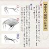Hosekken high-end fan brand that combines traditional craftsmanship modern sensibility Ladies Takosen 60 Karin White Pink Japanese clothing Elegant