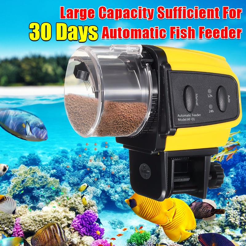 electronic fish feeder