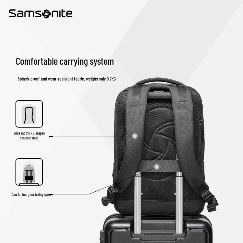 Samsonite Men's Business Laptop Backpack
