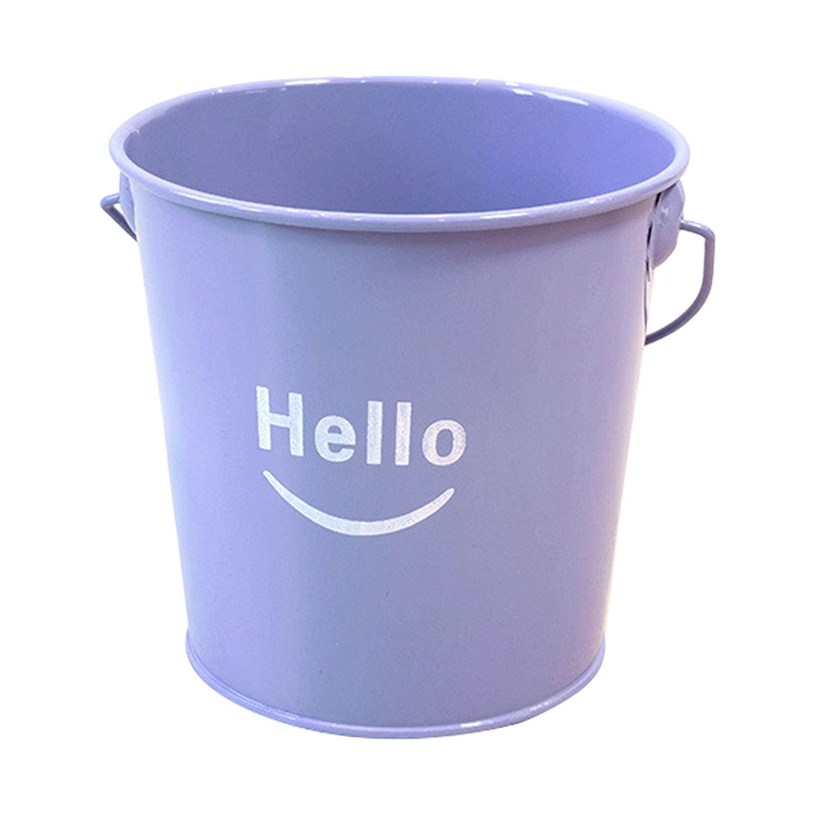 

Маленькие металлические ведра с ручкой – Оцинкованное ведро, герметичное и устойчивое – Лучшее для украшения вечеринок, организации и оформления классных комнат, ведро-цветочный горшок One Size светло-фиолетовый