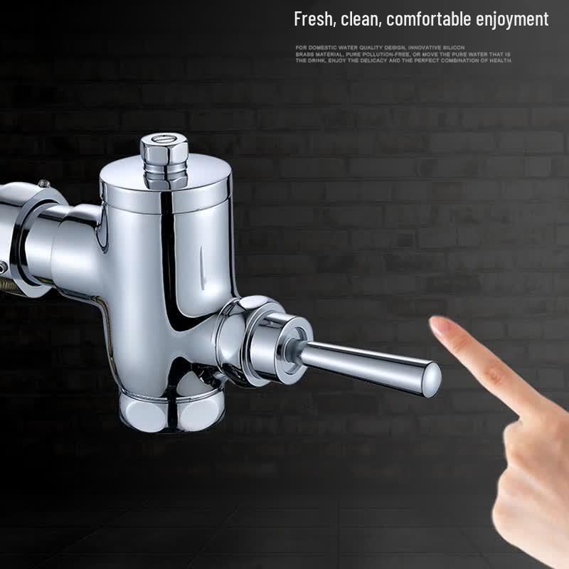 Time-Delay Flushing Valve for Toilets