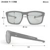 Daiwa Polarized Sunglasses Gray DN-8036