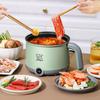 Electric Pot with Steamer Household Noodles for Pasta Dumpling Steak Gray Green