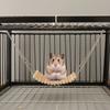 Easy To Install Hamster Hammock Toy Wood Parrot Training Bridge  for Parakeets Budgies Cockatiels