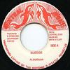 7inch Record FLOURGON  Sledge NONE Central Zone Jamaica Reggae Ska  Dub Used